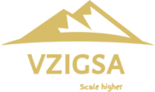 Vzigsa Consulting